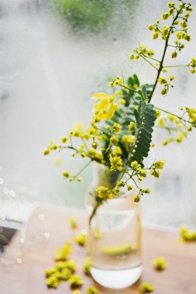 #1021 English Yellow and #1018 Zinc Yellow