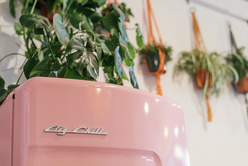 Retro Studio Refrigerator in Pink Lemonade