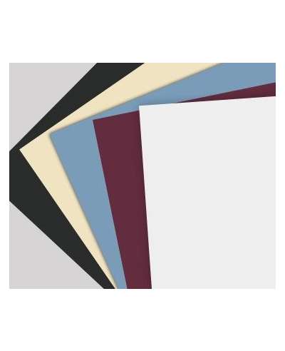 Classic Color Swatch
