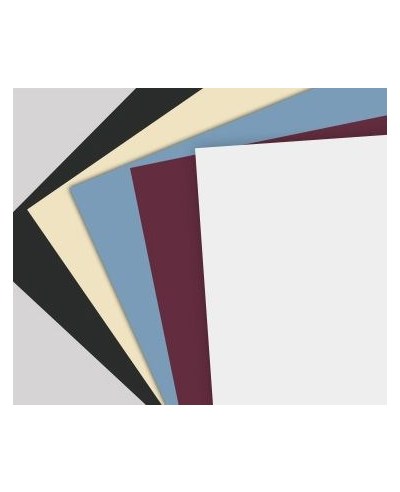 Classic Color Swatch